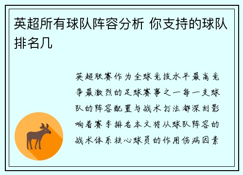 英超所有球队阵容分析 你支持的球队排名几