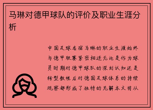 马琳对德甲球队的评价及职业生涯分析